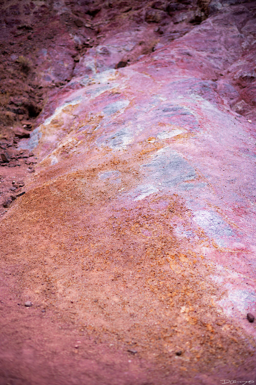 Floral, natural, and textural photography from Mt Hood, Mirror Lake, Lost Lake, Smith Rock State Park, Painted Hills, Blue Pool, Cannon Beach, California.